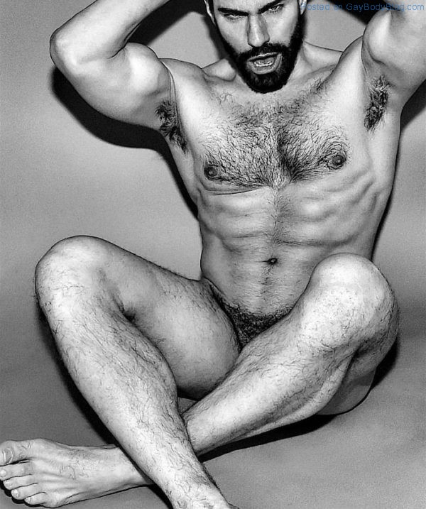 Tempting And Sexy Hairy Hunk Gregory Nalbone Nude Men Nude Male