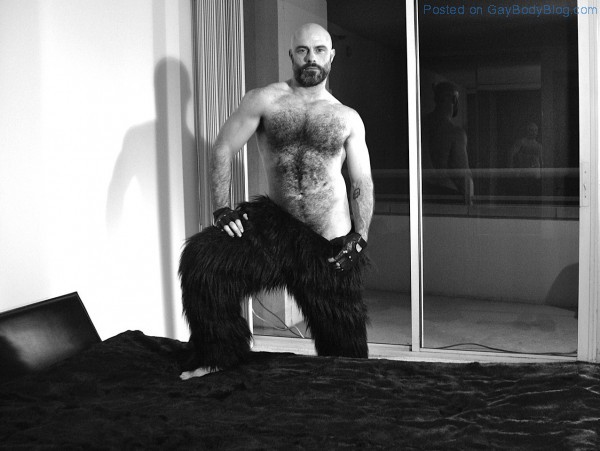 Hairy Bear Dan Lovell - My Gorilla, My Love By Rick Castro (1)