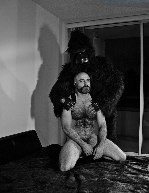 Hairy Bear Dan Lovell - My Gorilla, My Love By Rick Castro (3)