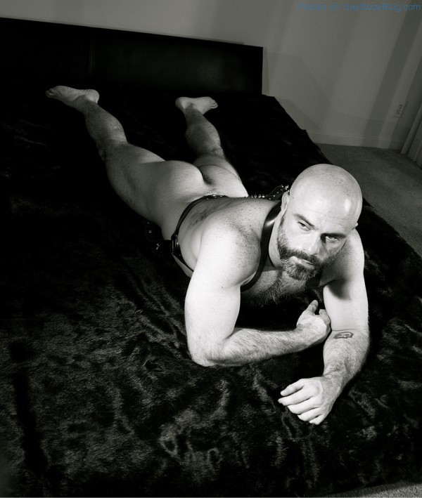 Hairy Bear Dan Lovell - My Gorilla, My Love By Rick Castro (4)