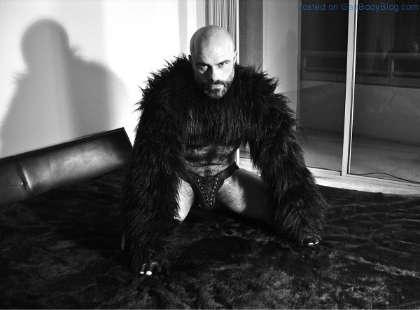 Hairy Bear Dan Lovell - My Gorilla, My Love By Rick Castro (5)