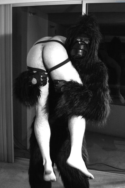 Hairy Bear Dan Lovell - My Gorilla, My Love By Rick Castro (7)