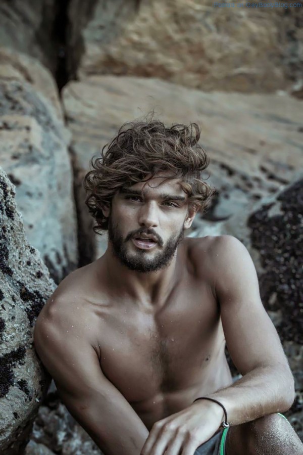 Going Wild With Marlon Teixeira (1)