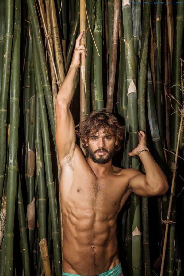 Going Wild With Marlon Teixeira (3)