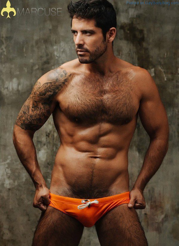 A Gathering Of Hunks For Serge Lee 2