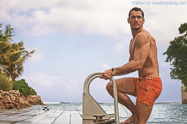 David Gandy Is Always Going To Be Hot 6