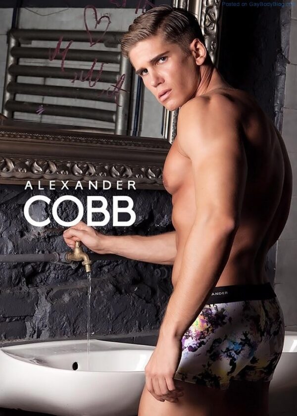 A Smattering Of Fit Hunks For Alexander Cobb 1