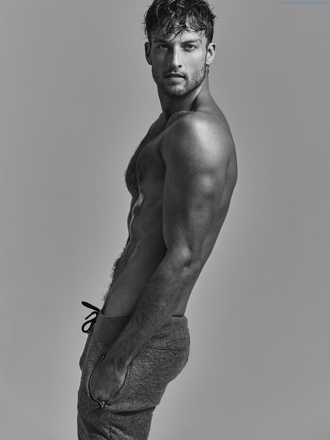 Rohan Maclaren Male Models Adonismale Hot Sex Picture