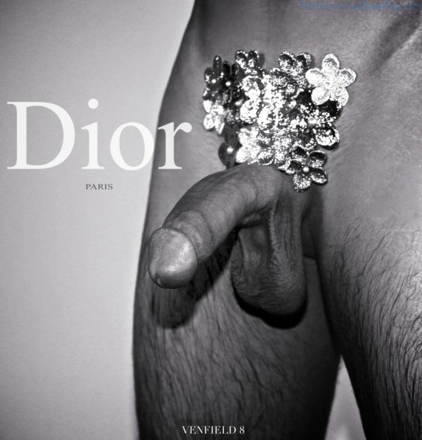 big hard cock with the Dior logo and silver decoration above the shaft