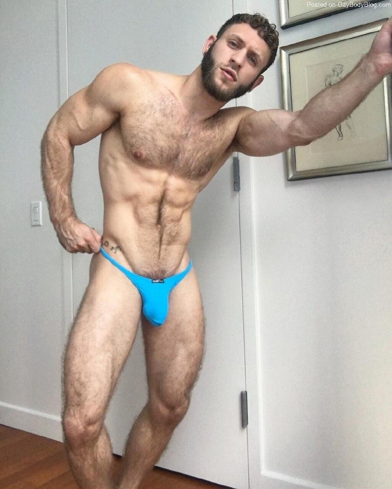 Hairy And Handsome Hunk Anthony Forte Shows His Awesome Bulge - Gay Body  Blog - featuring photos of male models and beautiful men.