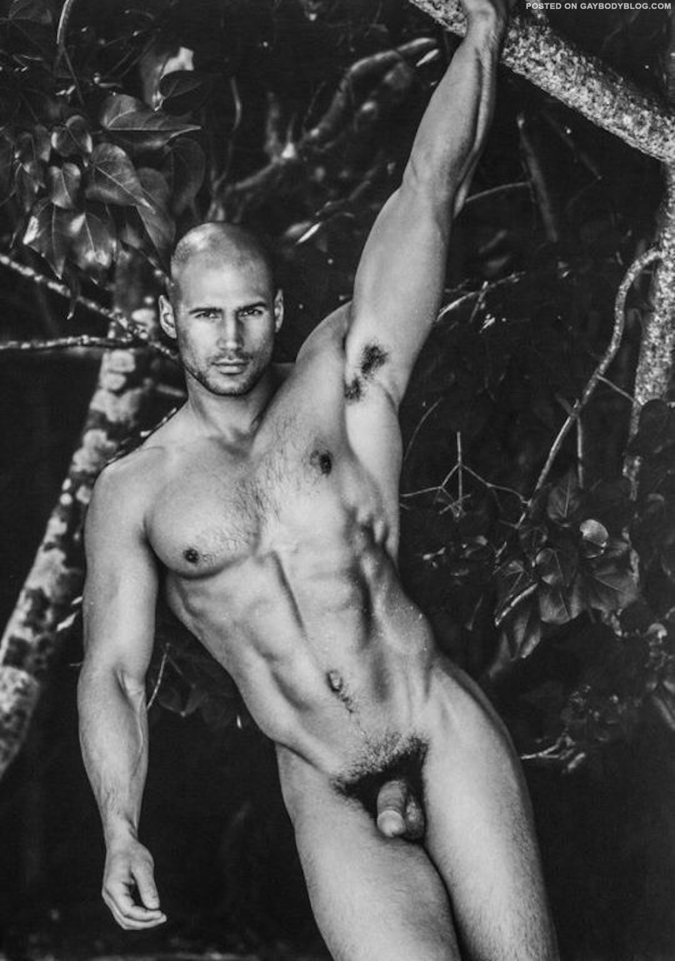 Todd Sanfield nude