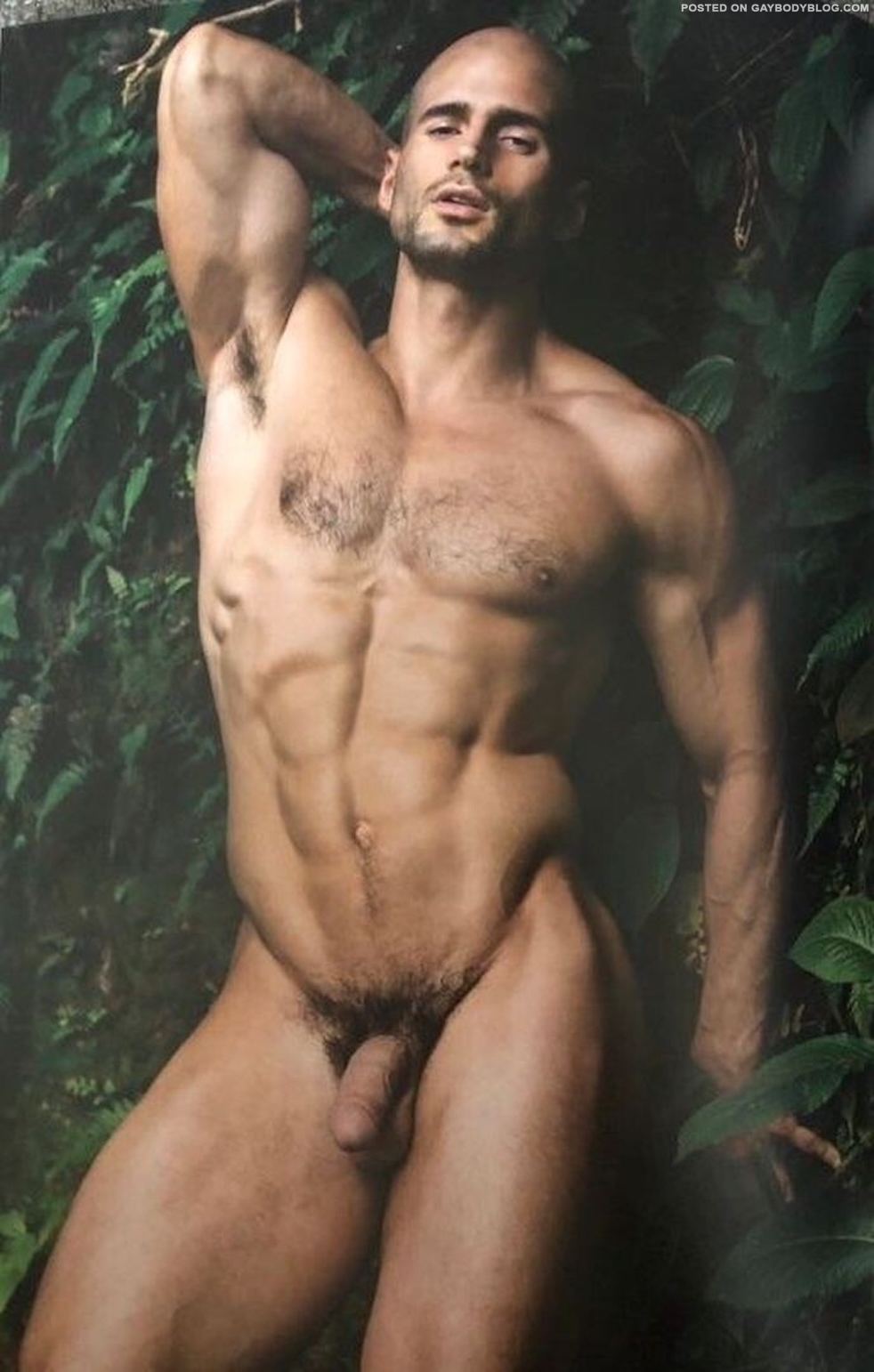 rare todd sanfield nudes 009