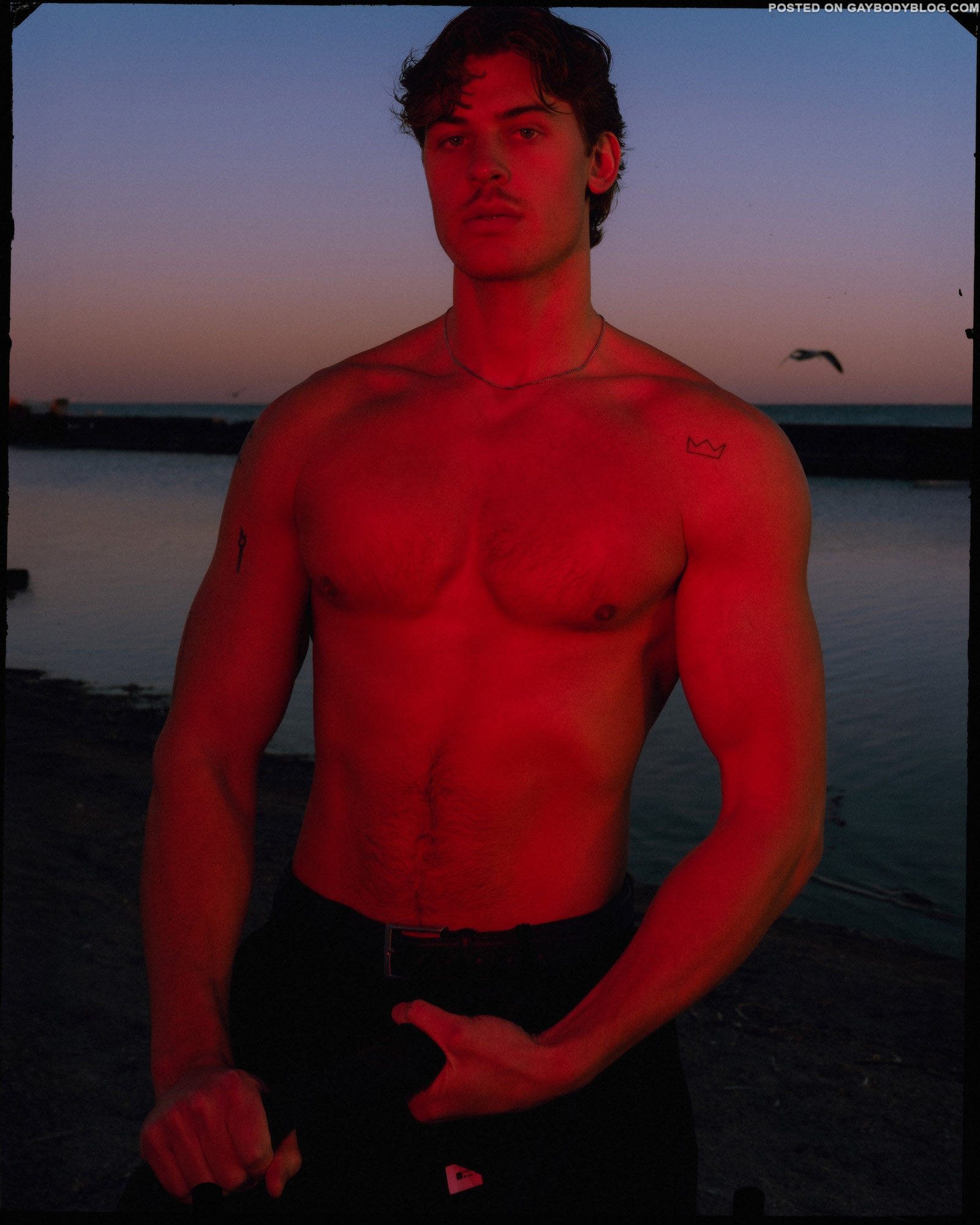 Canadian Hunk Model Damion Greidanus 3