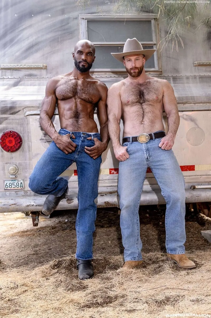 Gay Country Fucking 1