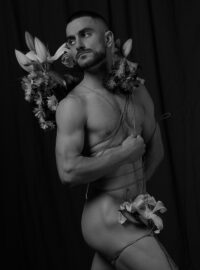 Artistic Cock Photography 1