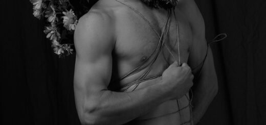 Artistic Cock Photography 1