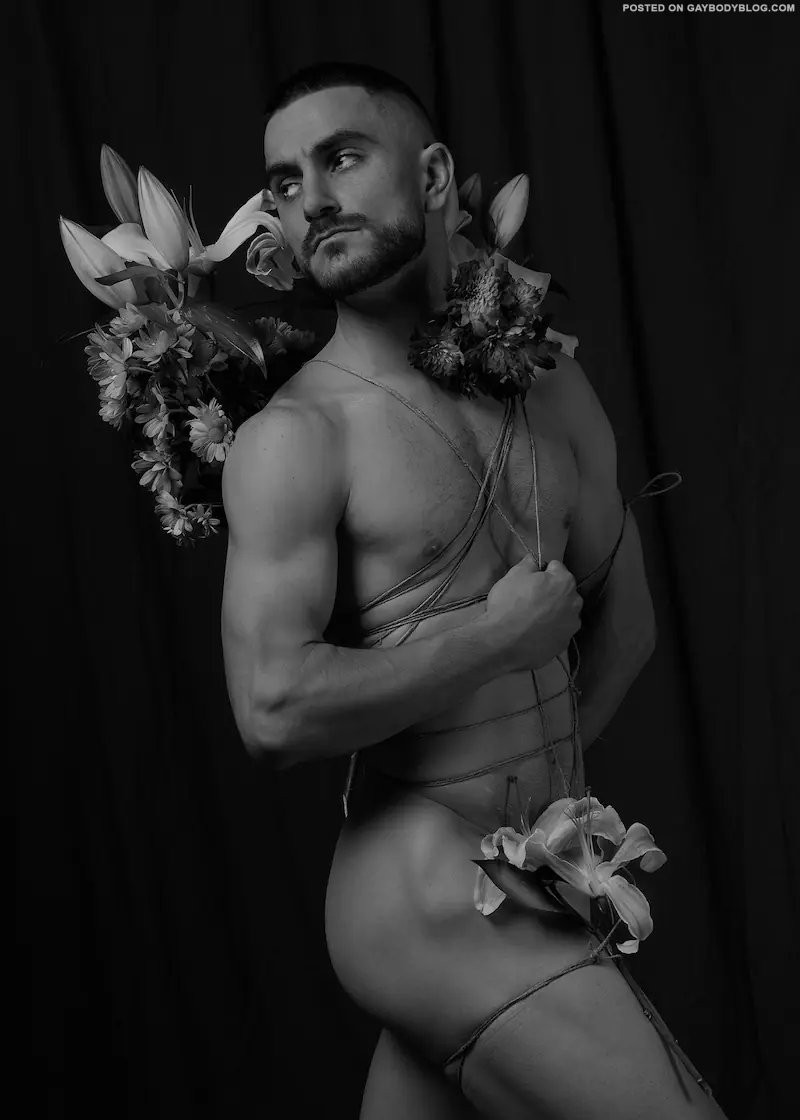 Artistic Cock Photography 1