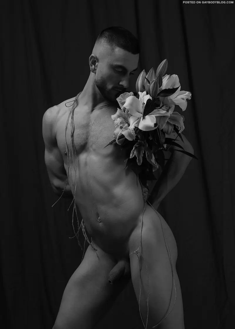 Artistic Cock Photography 4