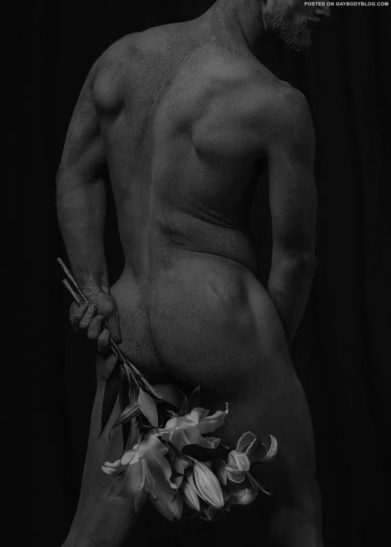 Artistic Cock Photography 6