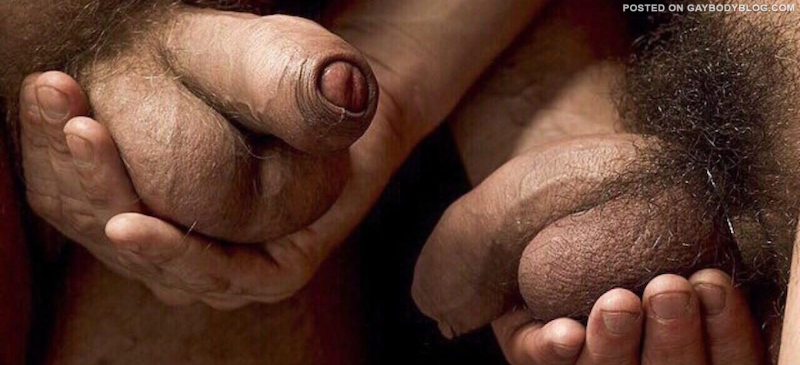 Nut Sacks 5